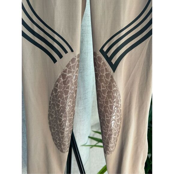 TUFFRIDER Women’s PINTA Equestrian Riding Tights Leggings Breeches Small - Picture 2 of 7